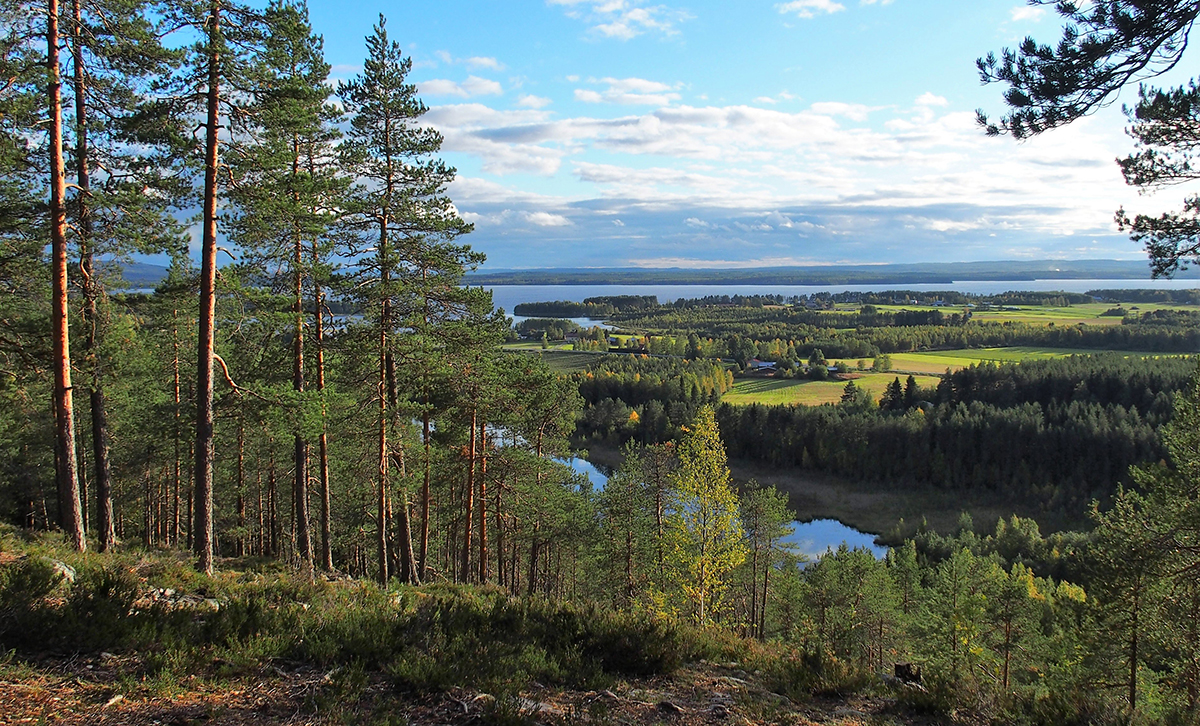 Kesäinen Suomalainen luontomaisema korkean kallion päältä kuvattuna.